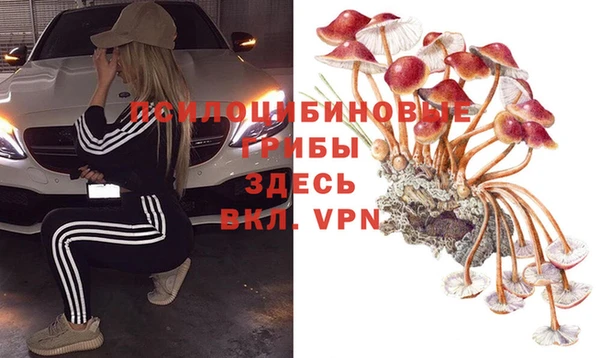 MDMA Алексин