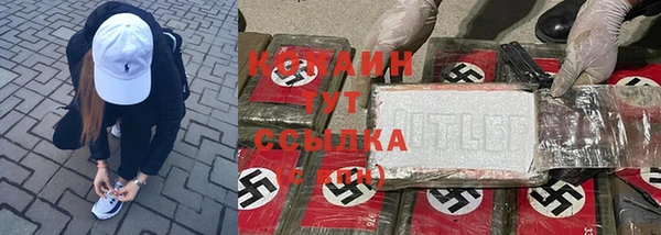 ПСИЛОЦИБИНОВЫЕ ГРИБЫ Алексеевка