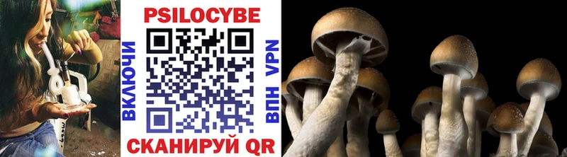 Псилоцибиновые грибы мухоморы  закладка  Среднеколымск 